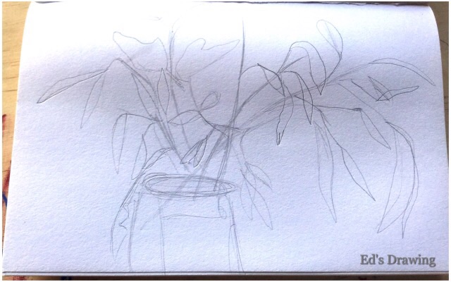 Ed's drawing 1
